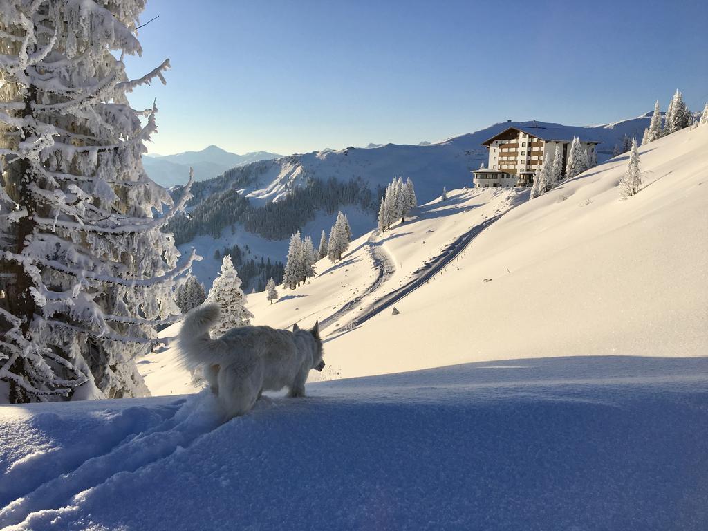 كيتزبوهيل Ehrenbachhohe On Top Of The Mountain المظهر الخارجي الصورة